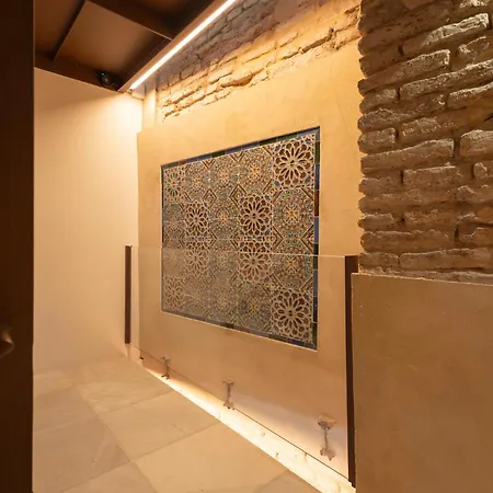 Duplex Con Terraza Privada Y Vistas A La Catedral Appartement *