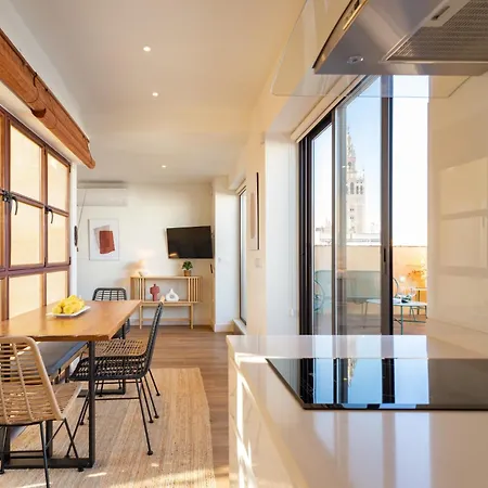 Duplex Con Terraza Privada Y Vistas A La Catedral * Séville